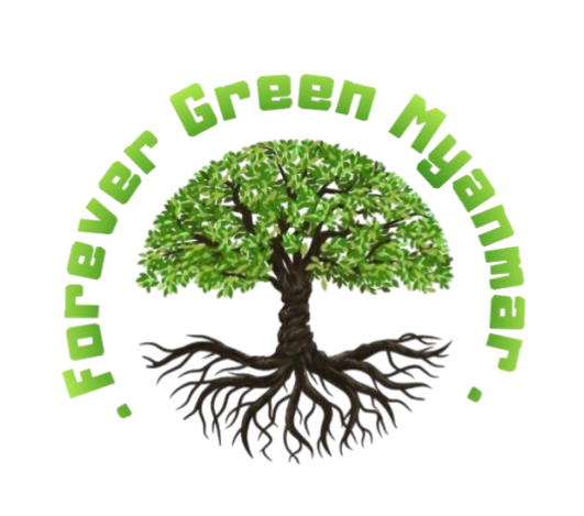 Forever Green Myanmar Company Limited logo