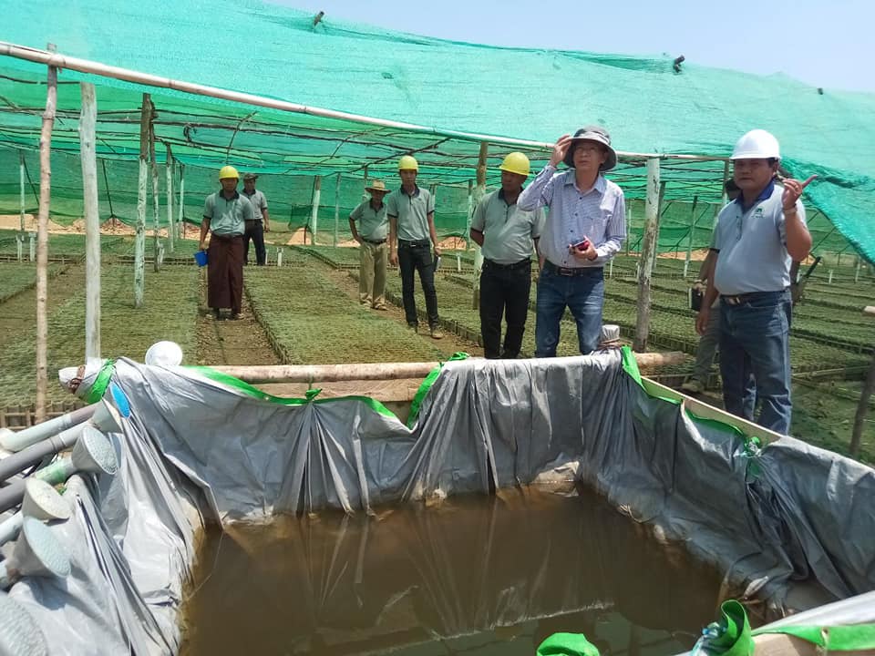 FGM field activity