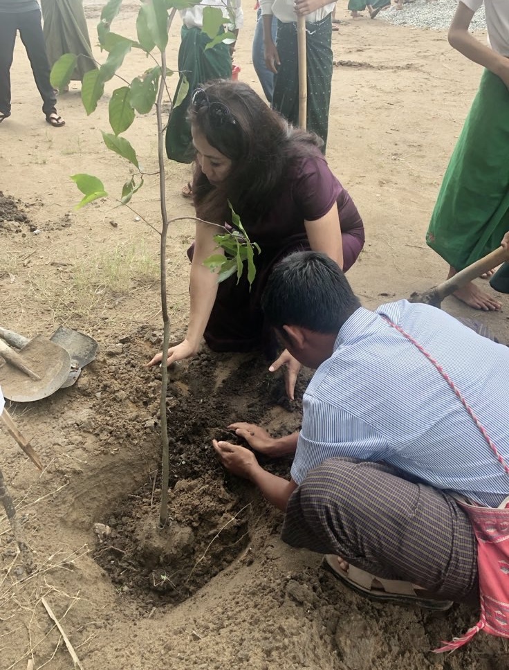 Community tree planting activity
